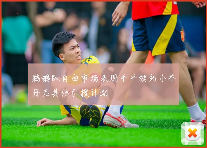 鹈鹕队自由市场表现平平续约小乔丹无其他引援计划