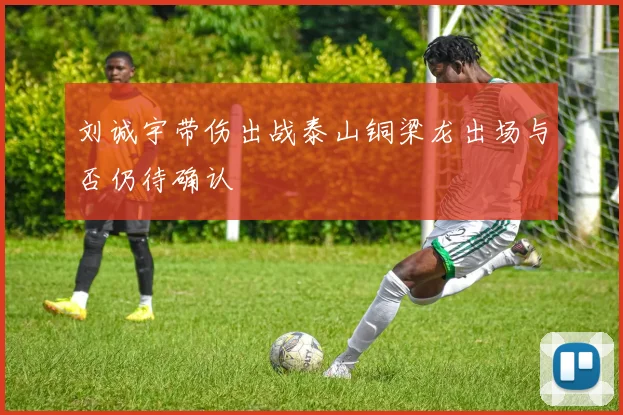 刘诚宇带伤出战泰山铜梁龙出场与否仍待确认