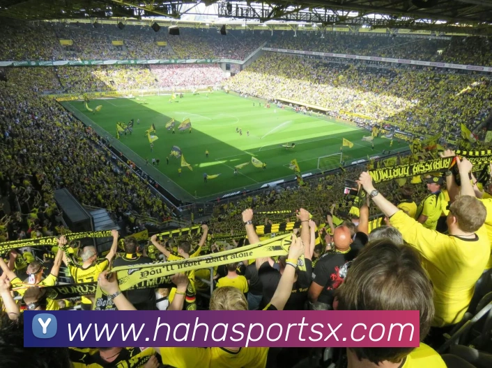 哈哈体育服务体系